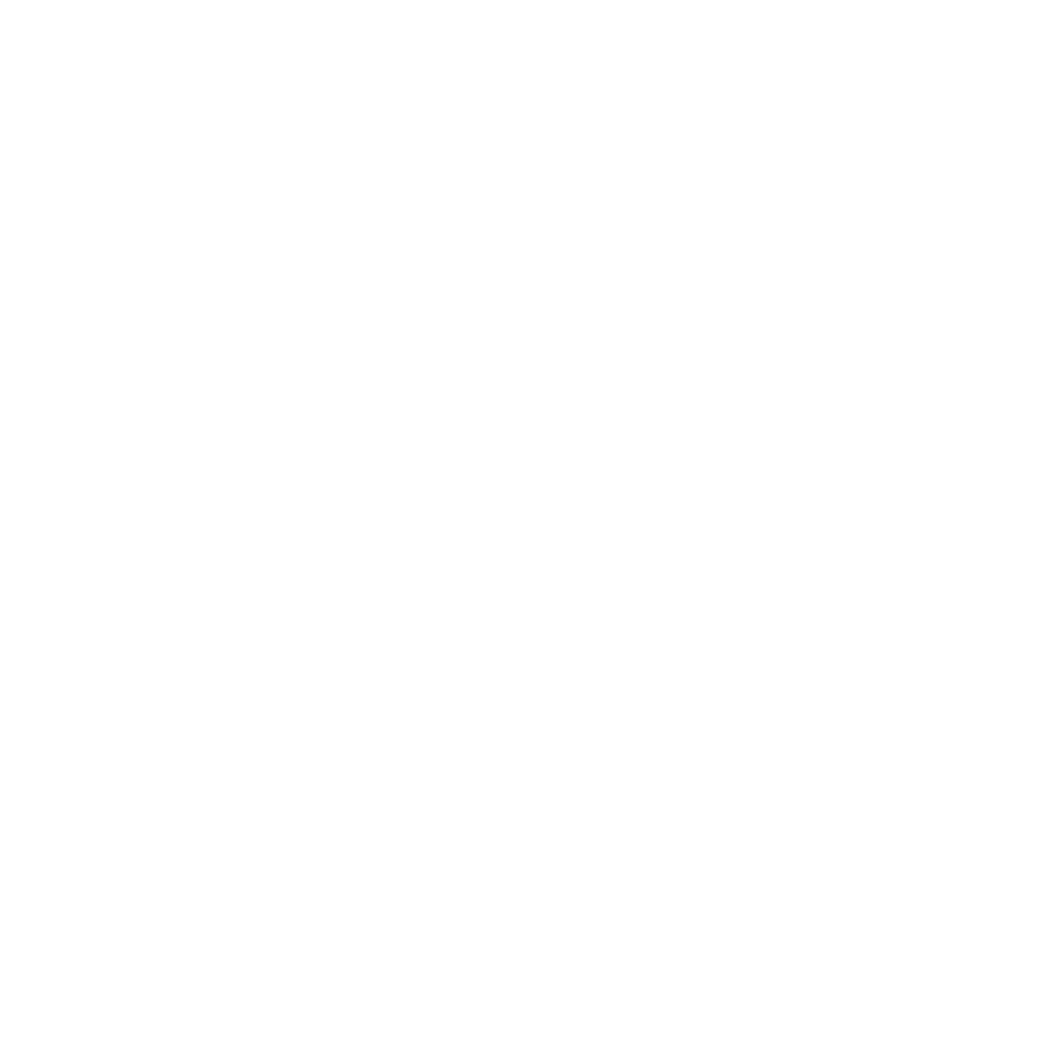 Gen Guard Engineers white logo
