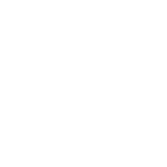 bionoids white logo