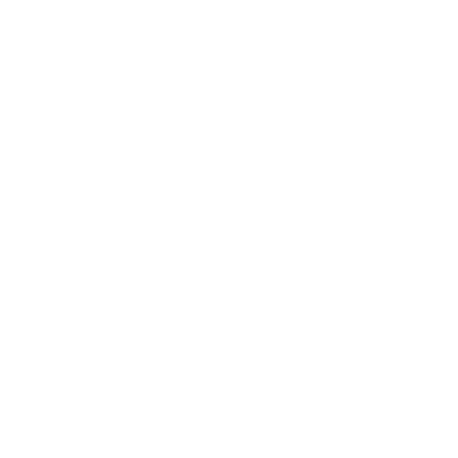 planway capital white logo