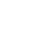 rising white logo