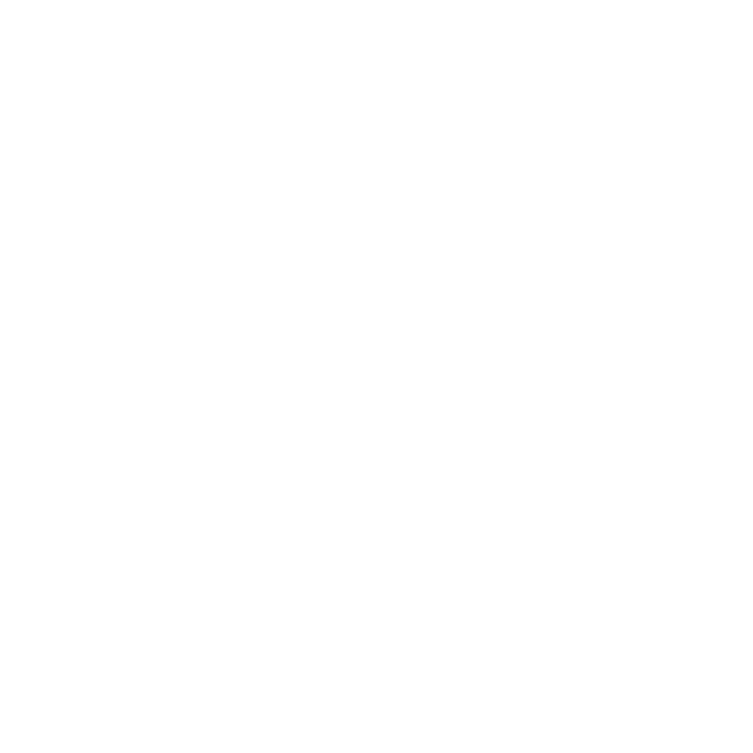 rising white logo