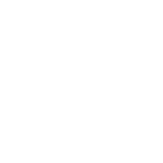brain spark white logo