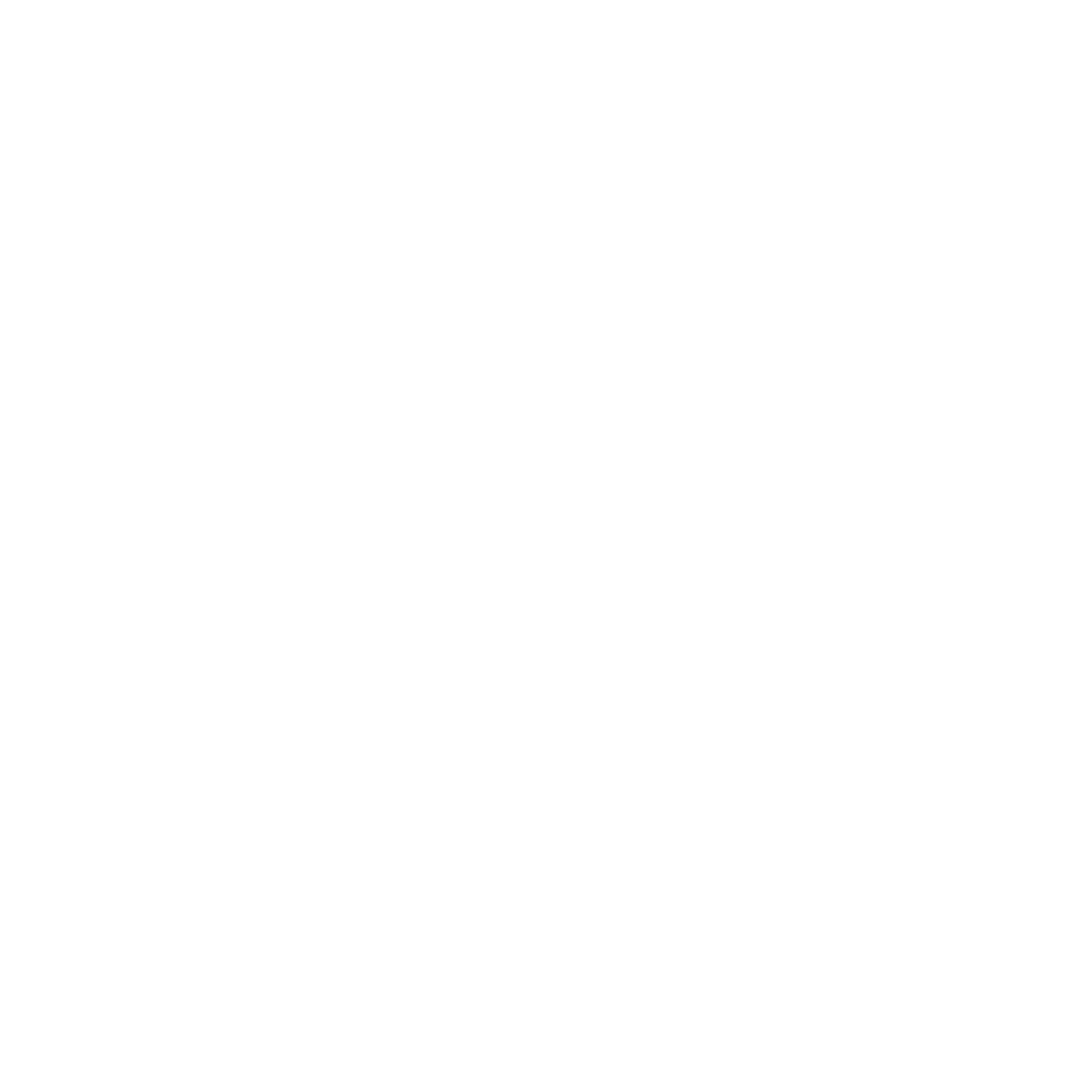 brain spark white logo